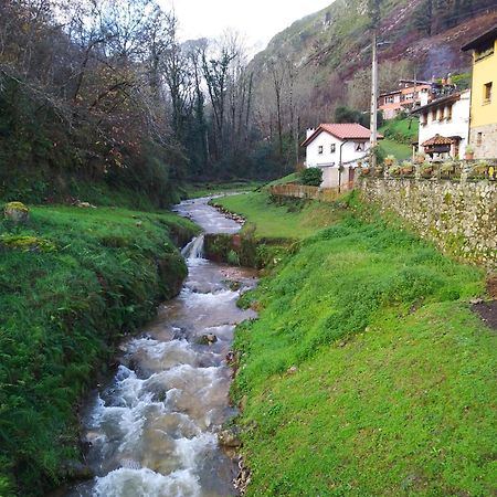 Vila El Rinconin De Degu San Juan de Parres Exteriér fotografie