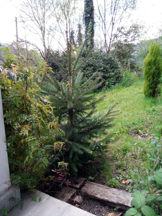 Vila El Rinconin De Degu San Juan de Parres Exteriér fotografie